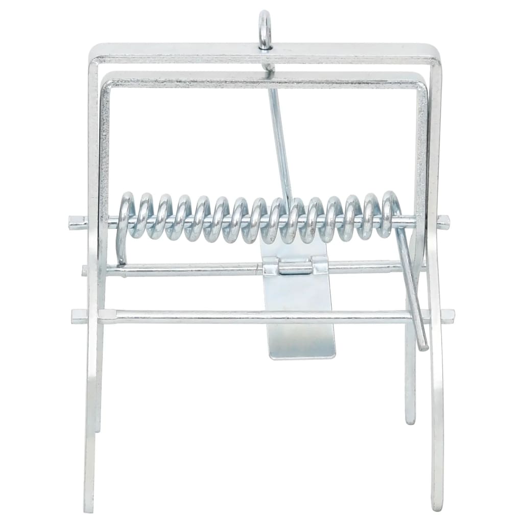 Mollenvallen Gegalvaniseerd Staal Zilverkleurig