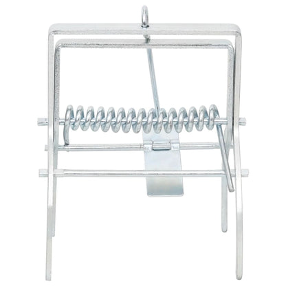 Mollenvallen Gegalvaniseerd Staal Zilverkleurig