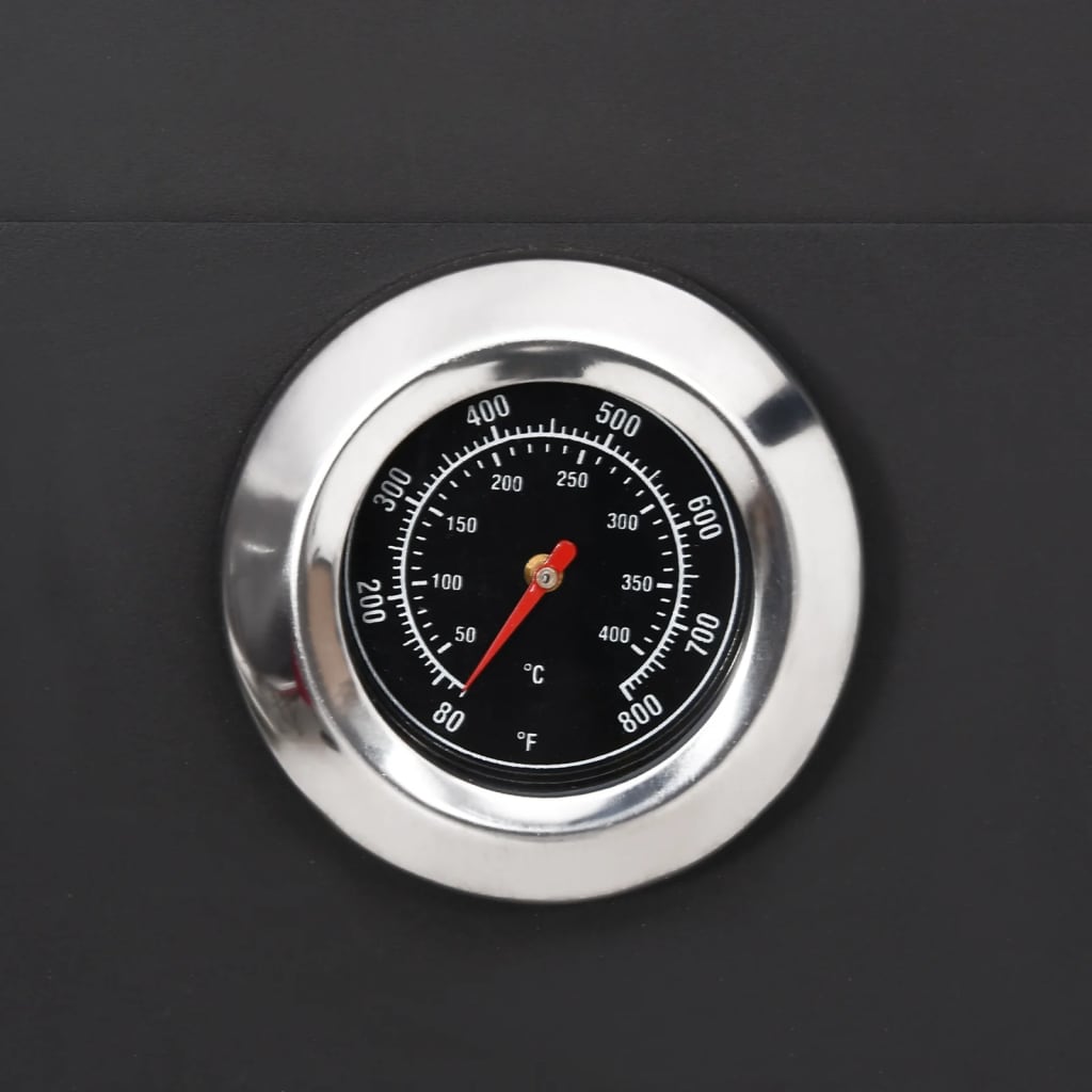 Pizzaoven Houtskool Met 2 Vuurkleistenen