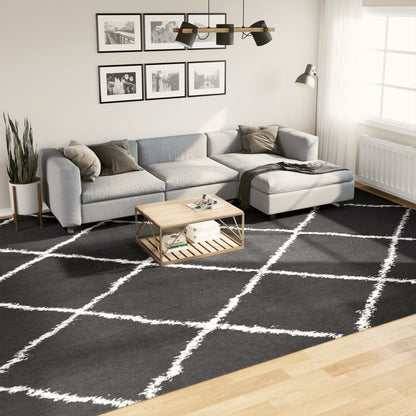 Vloerkleed Shaggy Hoogpolig Modern Zwart En Crème