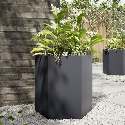 Plantenbak Zeshoek Staal Antracietkleurig