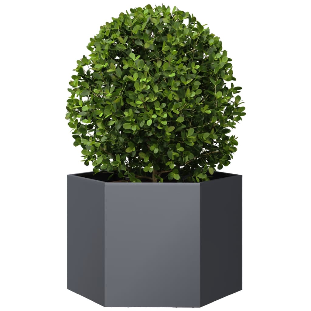 Plantenbak Zeshoek Staal Antracietkleurig