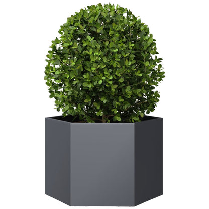 Plantenbak Zeshoek Staal Antracietkleurig