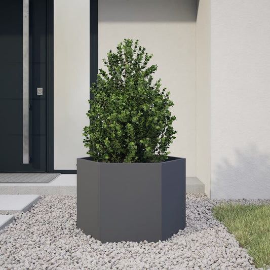 Plantenbak Zeshoek Staal Antracietkleurig
