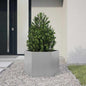 Plantenbak Zeshoek Staal Antracietkleurig