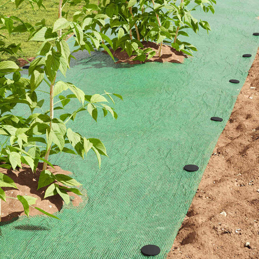 Plastic Pennen 100 Pcs Zwart 3 X 11 Cm Kunststof